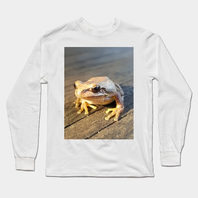 Golden Frog  - by Avril Thomas Long Sleeve T-Shirt by MagpieSprings